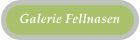 Galerie Fellnasen